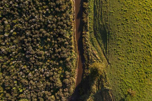 10 Wallbank Way Mangawhai_2