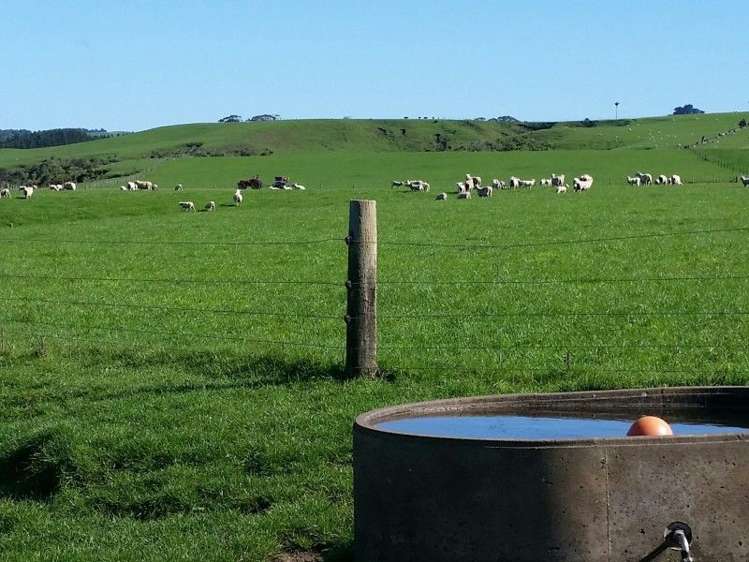 1584a Brunswick Road Kai Iwi_0