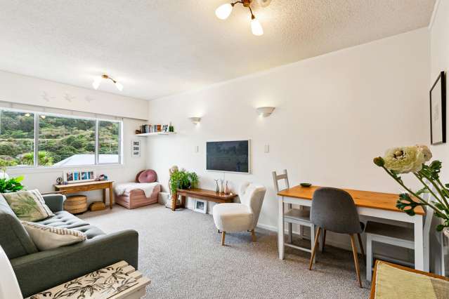 4/29 Hamilton Road Hataitai_1