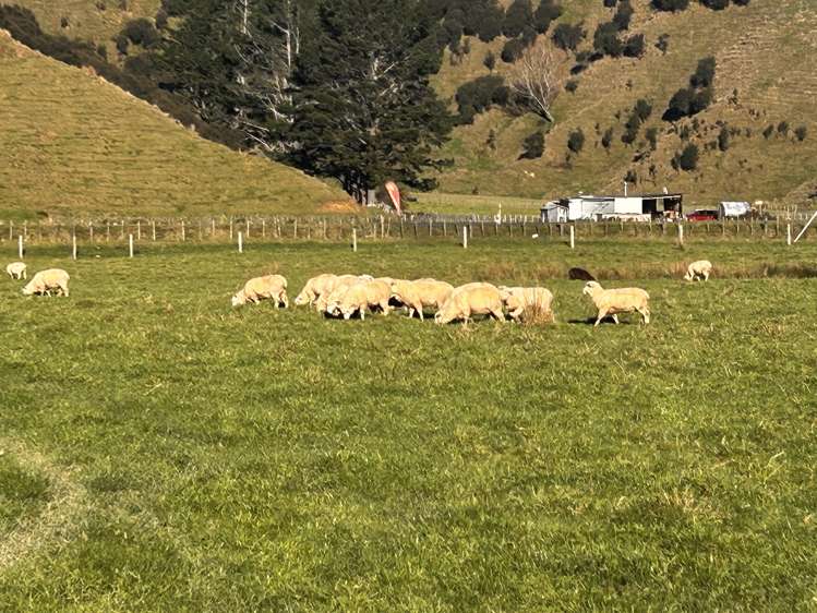 1724 State Highway 3 Uruti_11