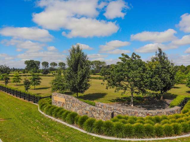 Station Rd Matamata_1