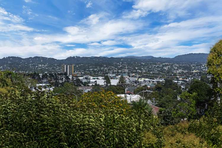 2/151 Blockhouse Bay Road Avondale_12