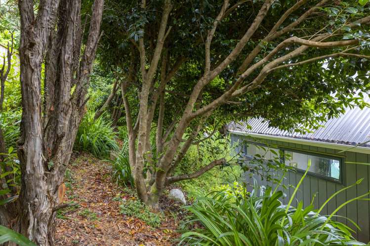 6 Turangitukua Terrace Whareroa_33