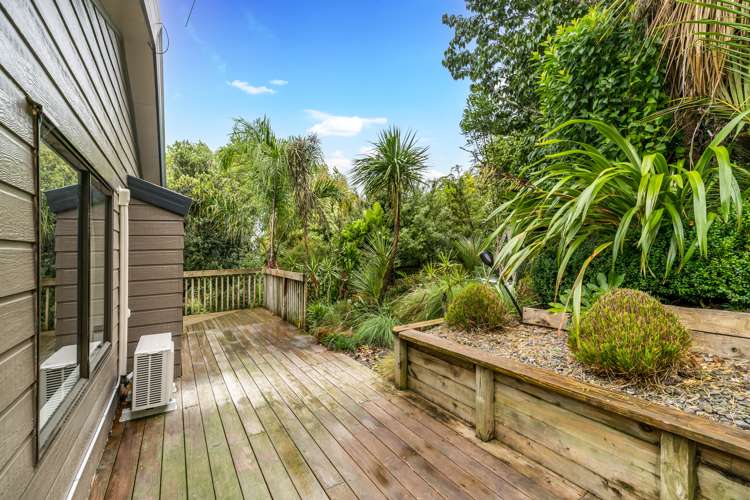 69 Falls Road Warkworth_25