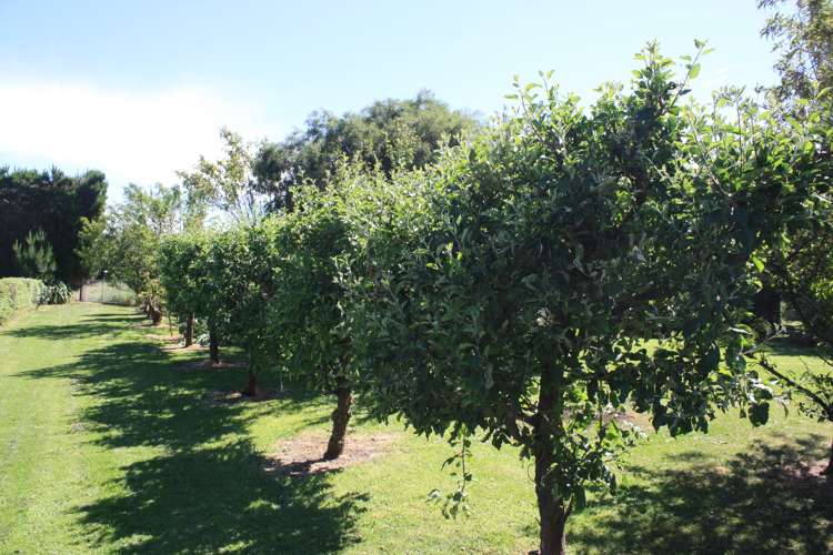 100 Whiterocks Road Deborah_7