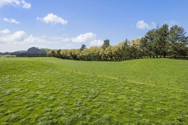 67 Mathers Road Waihi_1