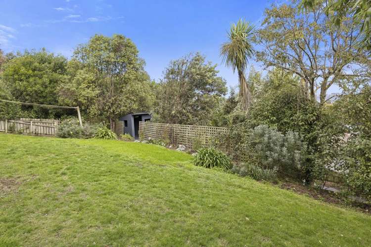 59 Aytoun Street Waverley_19