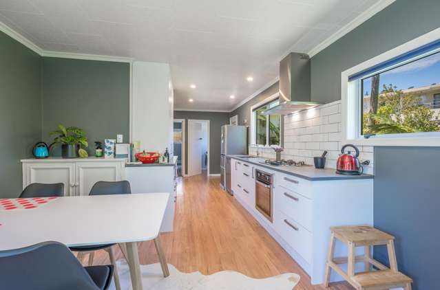 14 Scotia Street Wakatu_2