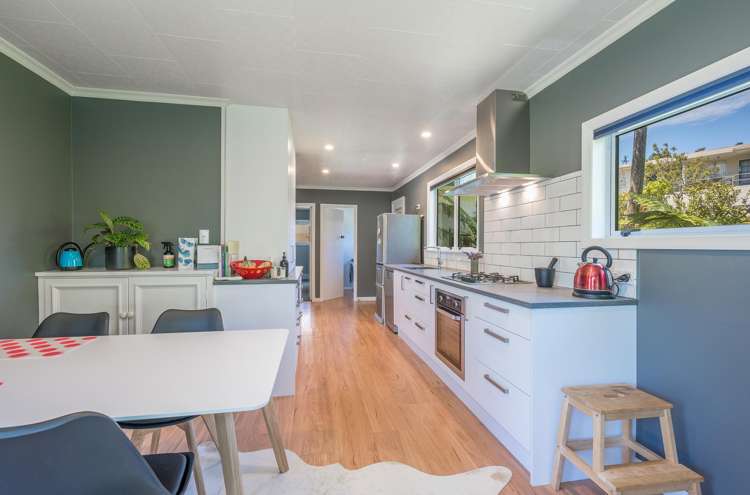 14 Scotia Street Wakatu_2