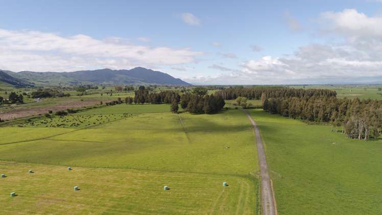 5885 State Highway 26 Te Aroha_9