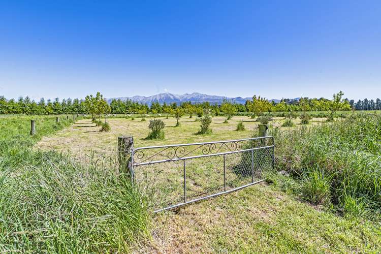 556 Frasers Road Springfield_25