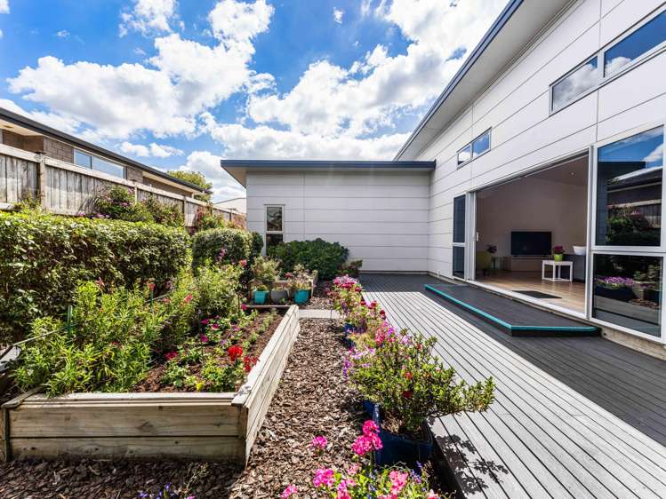 8 CANMORE STREET Pokeno_16