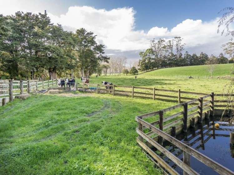 920 Old North Road Waimauku_20