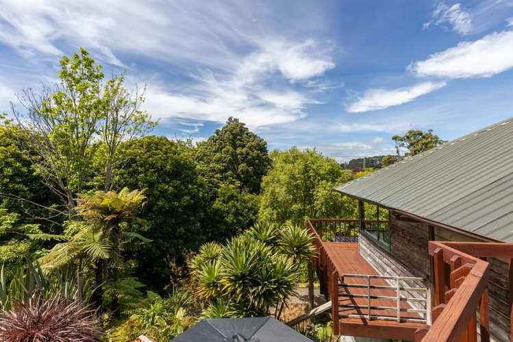 425a Carrington Street Upper Vogeltown_13