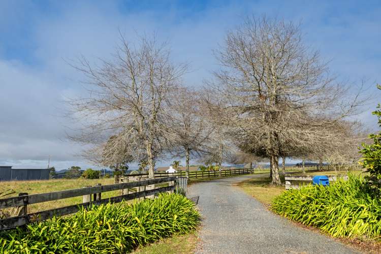 459 Wiroa Road Kerikeri_16