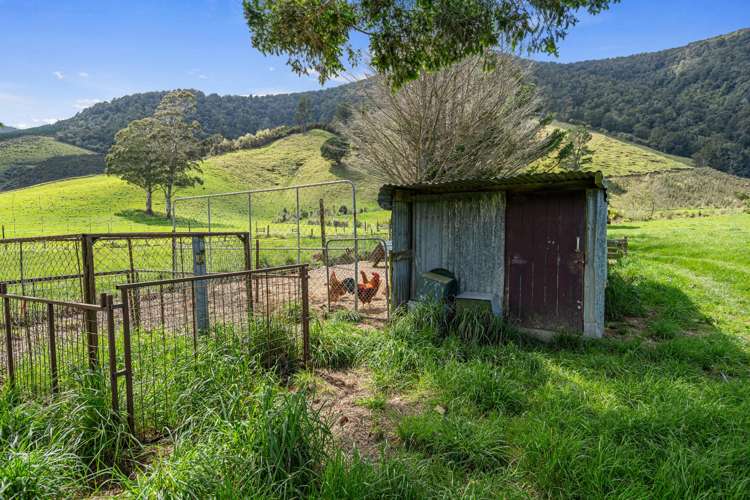 650 Ronga Road Rai Valley_22