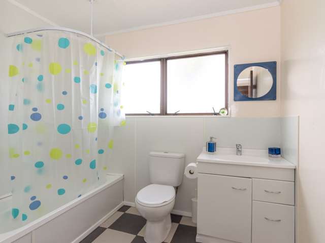 29a Campbell Street Palmerston North Central_3