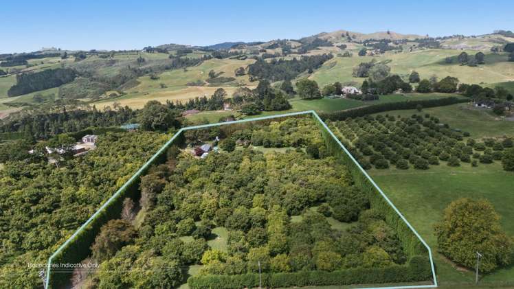 151a Hereford Road Oropi_26