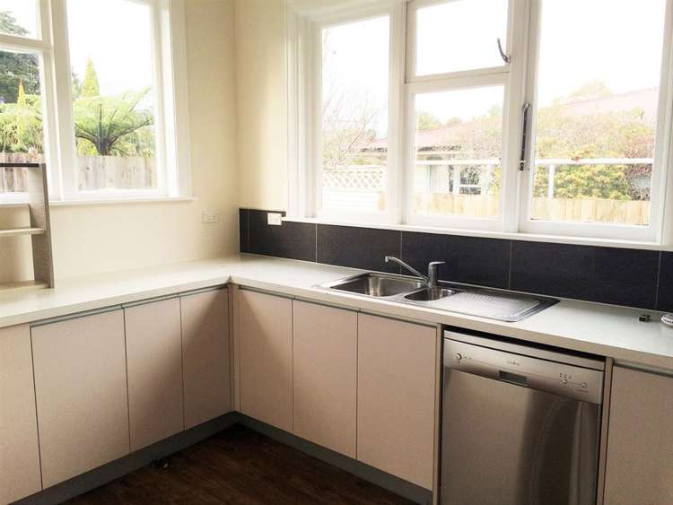 30a Black Beech Street Birchville_10