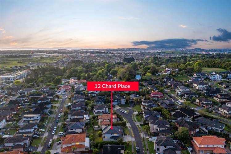 12 Chard Place Flat Bush_18