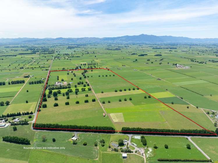 406 Manhire Road Morrinsville_35