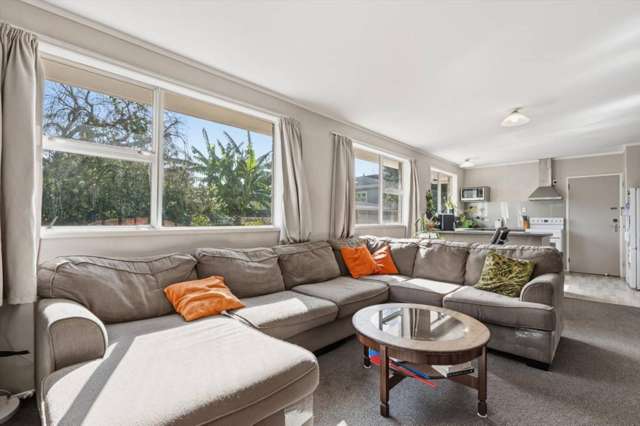 45B Moehau Street Te Puke_1