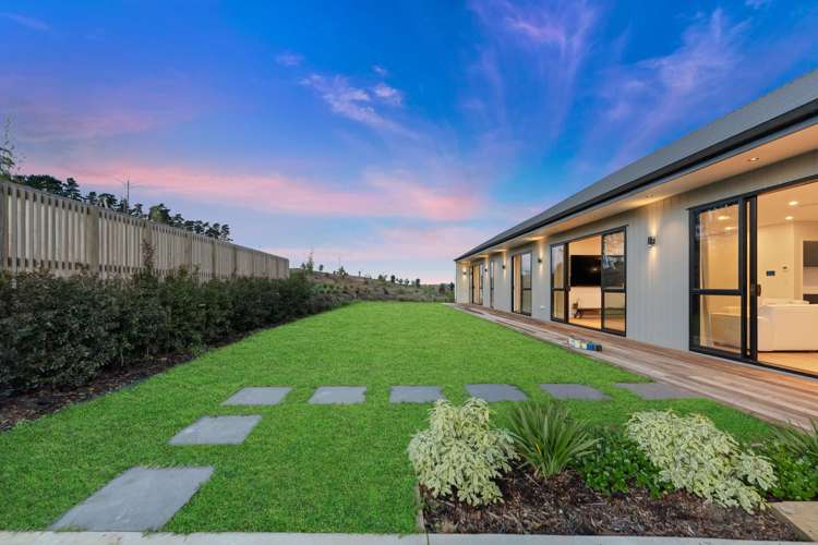 6 PEET ROW Pokeno_28