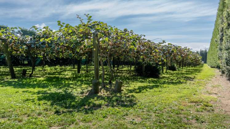 359 Matahui Road Aongatete_11