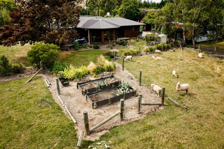 22 Reeves Street Cheviot_7