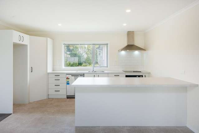 140 Rugby Street Awapuni_1