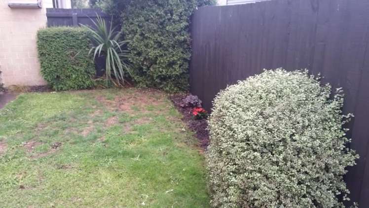 43a Hume Street Sydenham_8