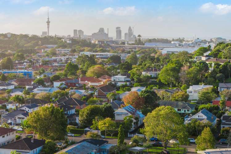 31 Ranfurly Road Epsom_22