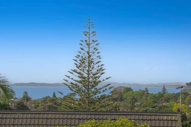 29a Little Barrier Avenue Manly_3