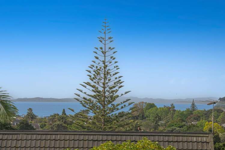 29a Little Barrier Avenue Manly_3