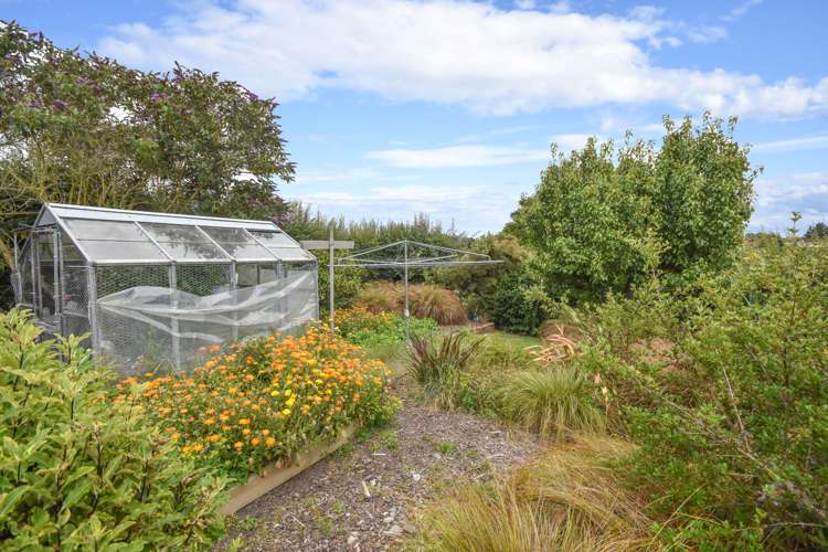 38 Craig Street Palmerston_14