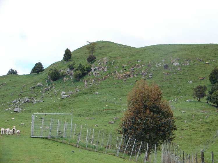 1742 Taringamotu Road Taringamotu_5