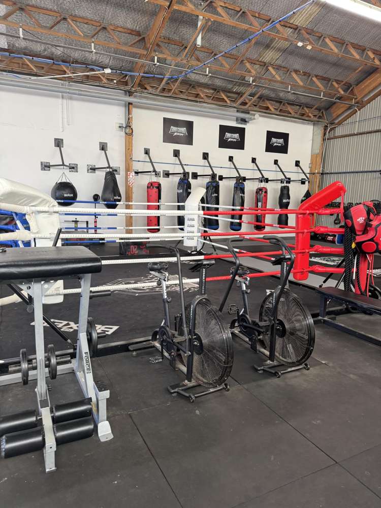 5A/405-407 King Street North Hastings_9