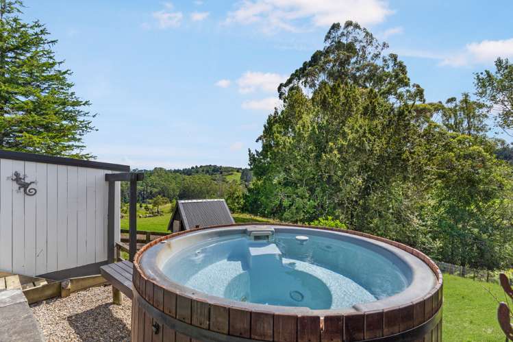 94 Ara-Kotinga Whitford_27