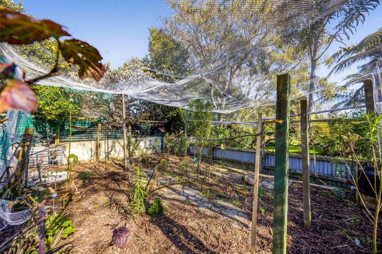 35 Smith Street Waverley_38