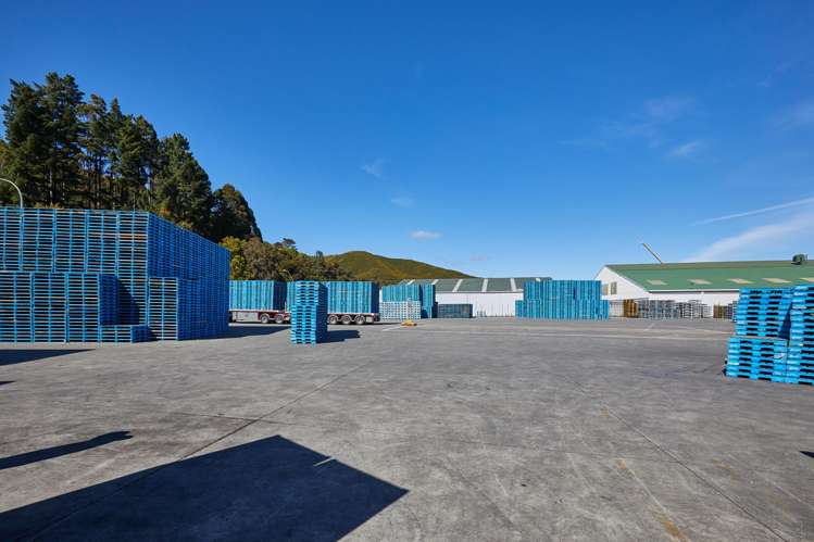Part 41-49 Eastern Hutt Road Wingate_5