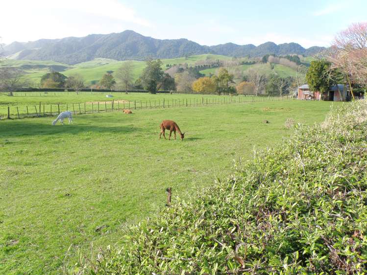 84 Old Te Aroha Road Te Poi_13