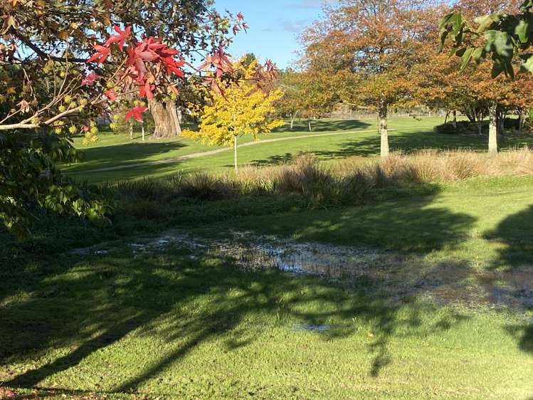 15 Aintree Crescent Awapuni_24