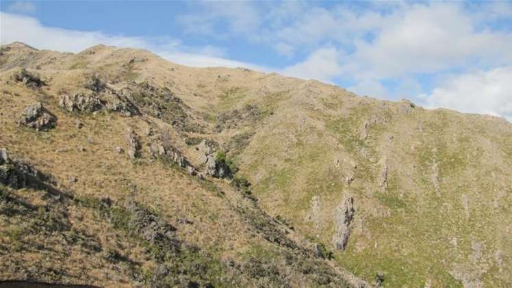 1234 Leatham Road Wairau Valley_15