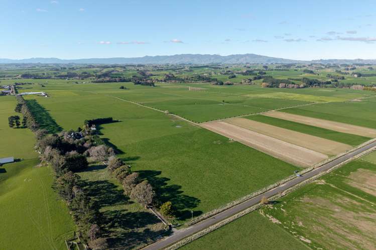 325 Reid Line East Bunnythorpe_1