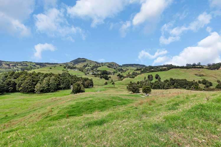 Pipiwai Road Purua_16