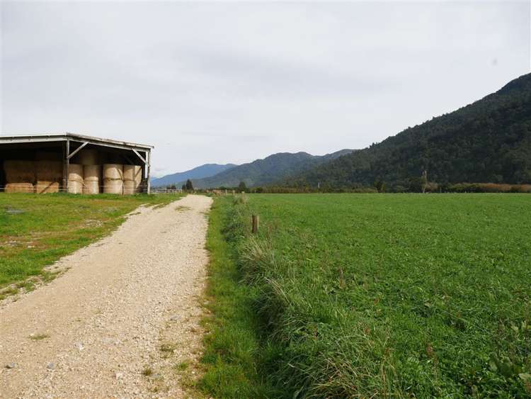 44 Wigzell Road Kahurangi National Park_26