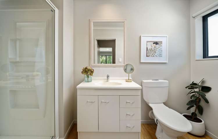 35 Old Renwick Road Springlands_14