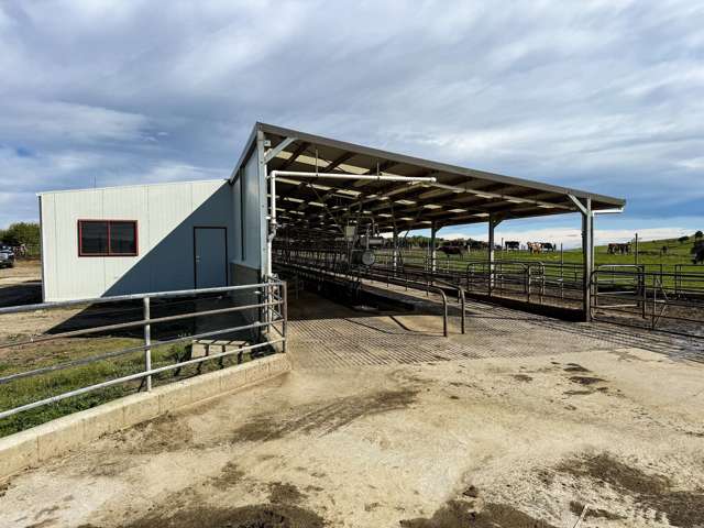 1532 Wyndham Letterbox Road Mataura Island_1
