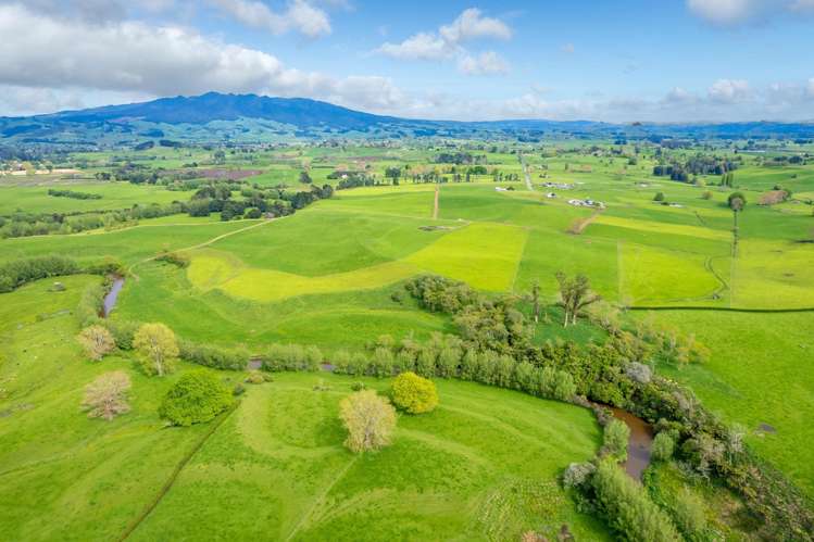 112 Waiari Road Pirongia_10