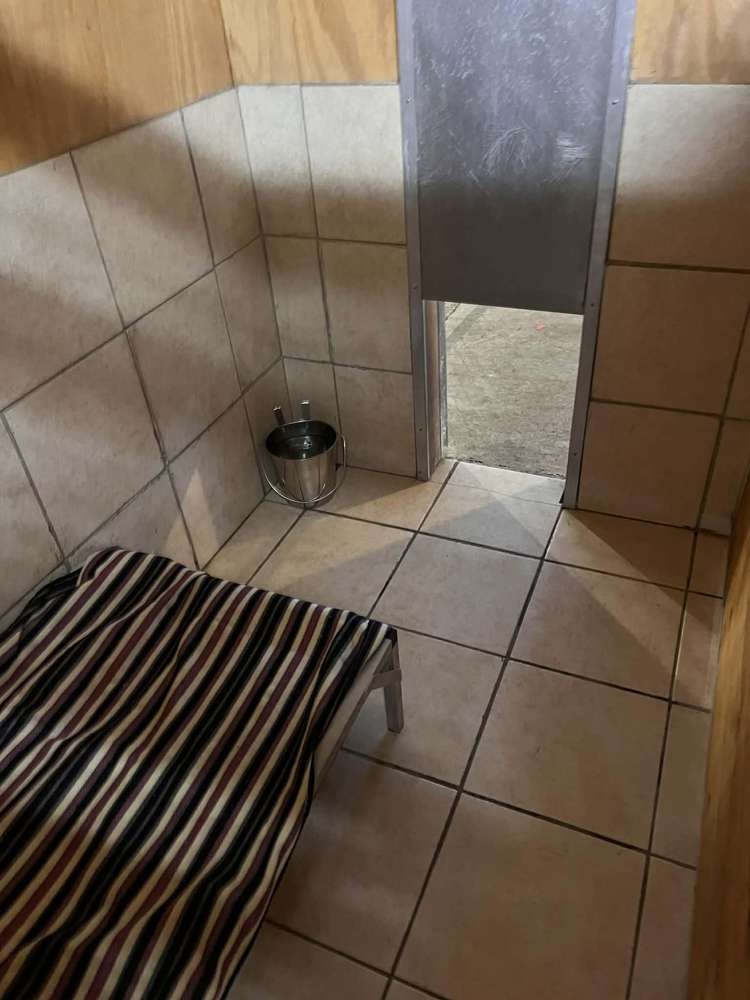 128 Mako Mako Road Levin_28